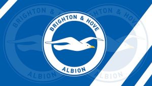 Câu lạc bộ Brighton Hove Albion: Hành trình của Mòng Biển