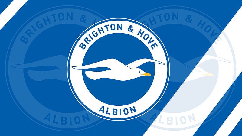 Câu lạc bộ Brighton Hove Albion: Hành trình của Mòng Biển