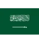 Logo Saudi Arabia