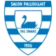 Logo Salon Palloilijat
