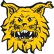 Logo Ilves Tampere