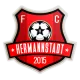 Logo Hermannstadt