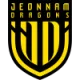 Logo Jeonnam Dragons