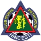Logo CS Petrocub