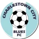 Logo Charleston City Blues