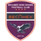 Logo Becamex Binh Duong