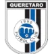 Logo Queretaro (w)