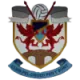 Logo Pen-y-Bont FC