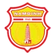 Logo Nam Dinh FC