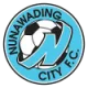 Logo Nunawading City
