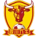 Logo Shenzhen Peng City FC
